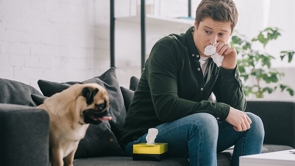 Getting an air purifier is one of the best approaches to improve your home’s indoor air quality. Discover more about the three smartest solutions. 